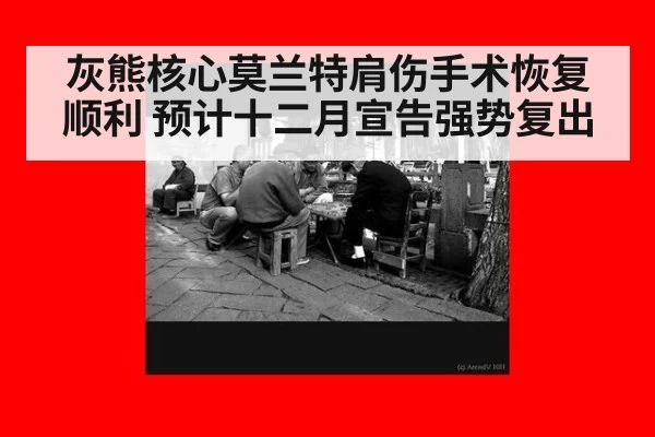 灰熊核心莫兰特肩伤手术恢复顺利 预计十二月宣告强势复出